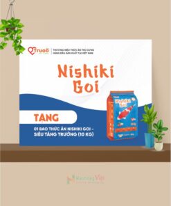 Bảng trao tặng quà Nishiki Goi